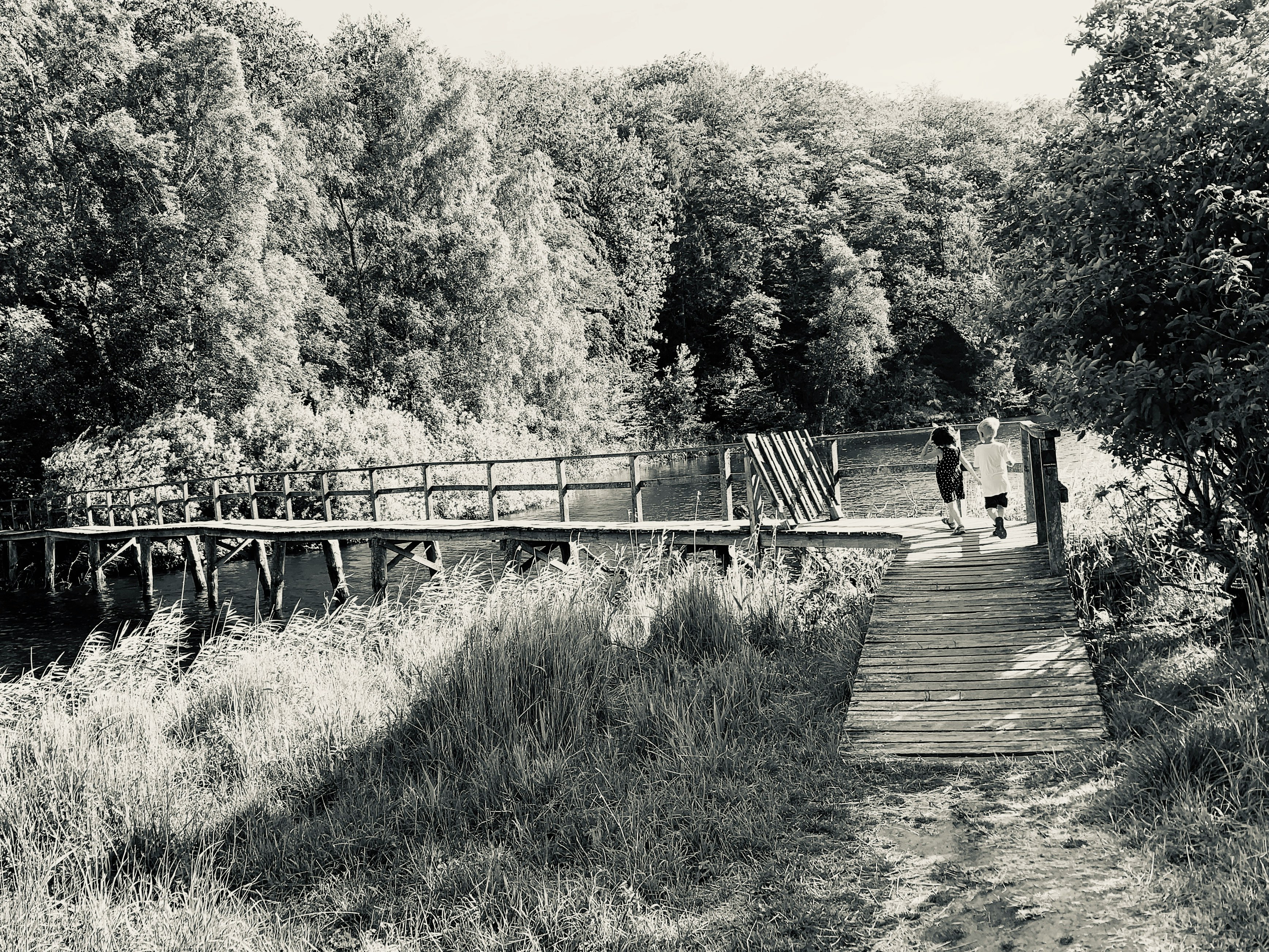 two boys walking on wooden bridge near trees